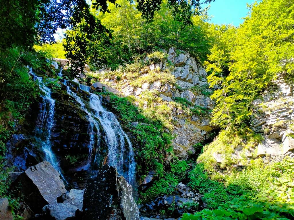Vertical photo