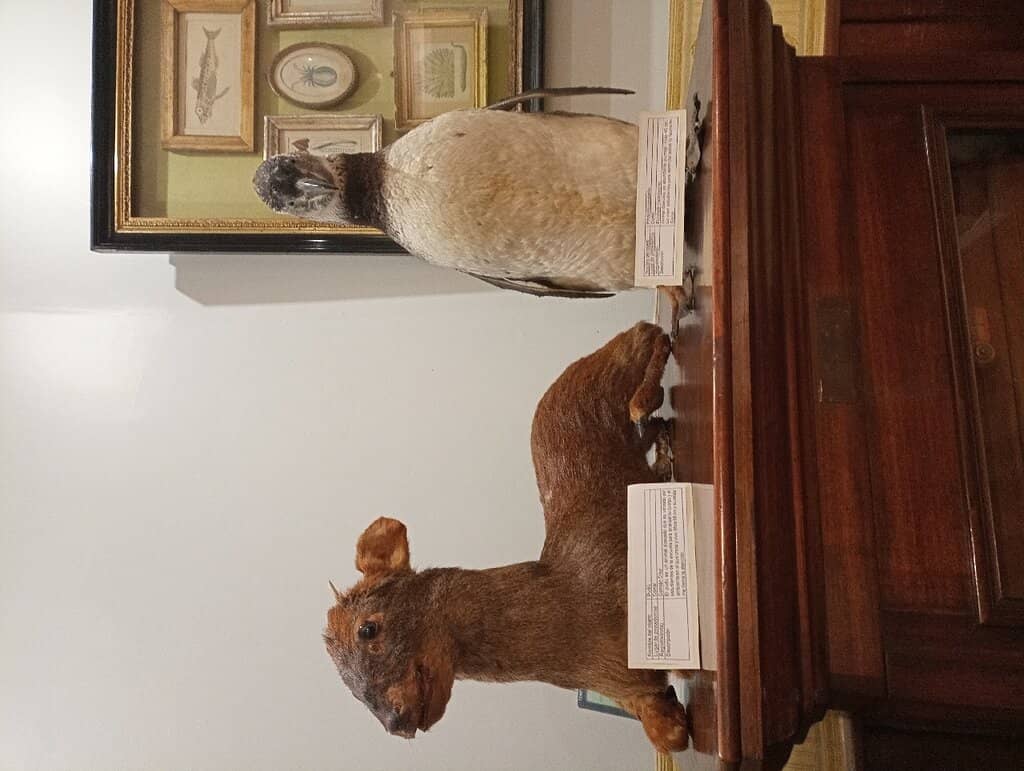 The World of Philippi