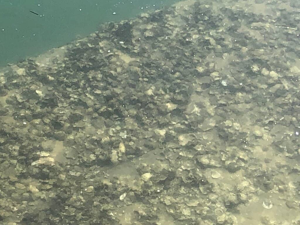 Crossing Certificate