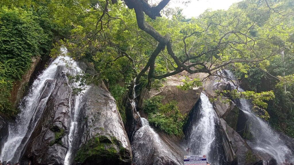 falls