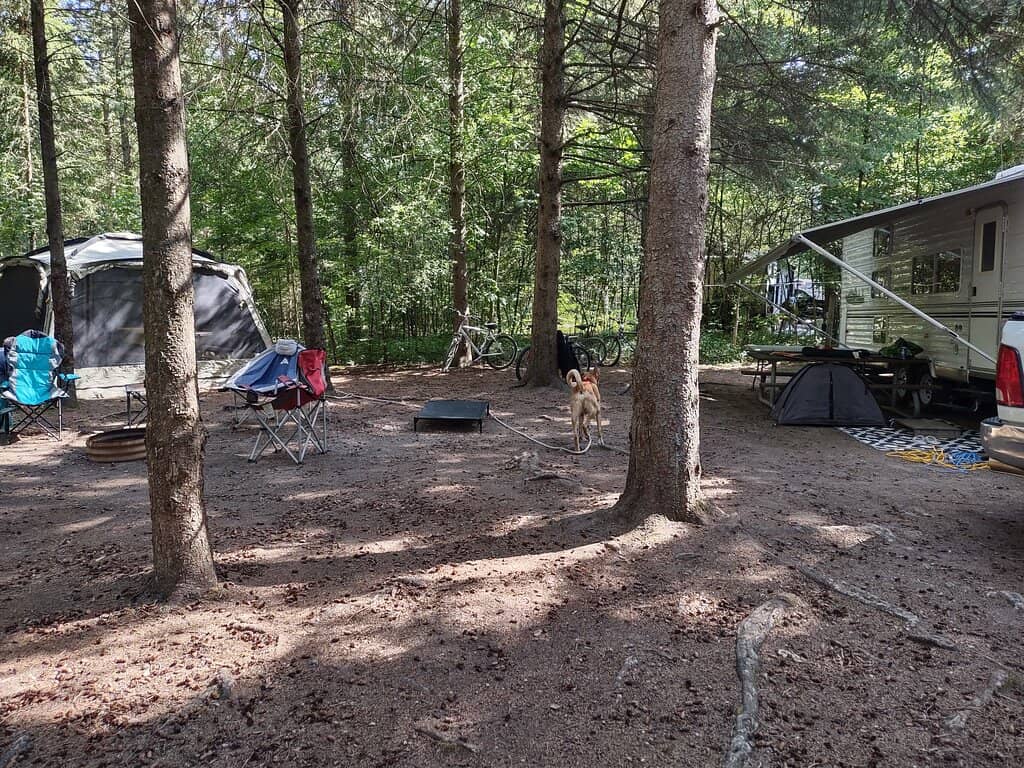 Hiking Trails