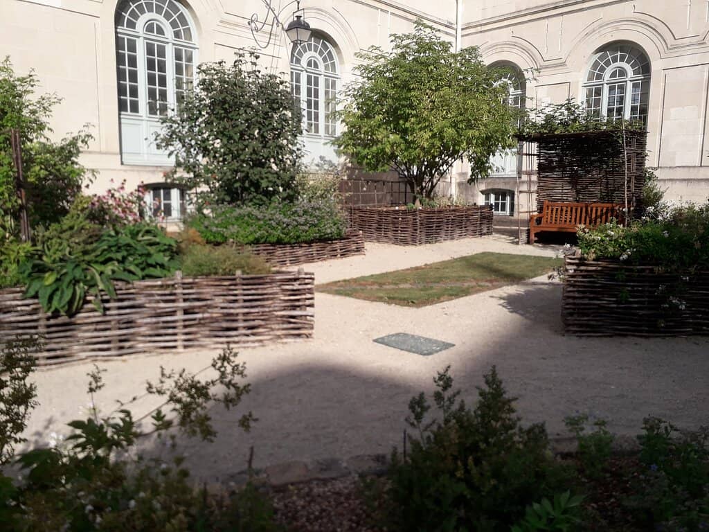 Medicinal Gardens