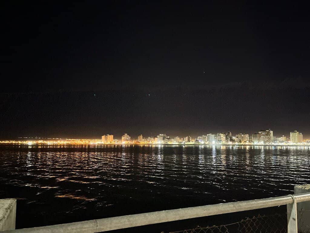 Whale Watching Opportunities