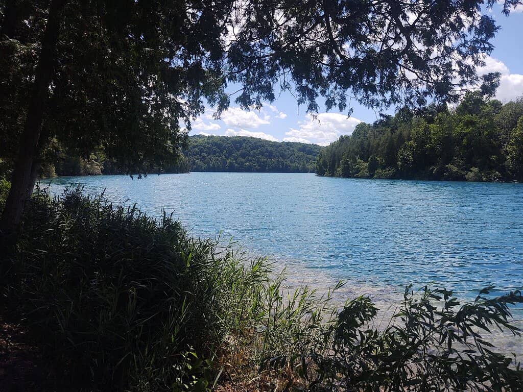 Scenic Hiking Trails