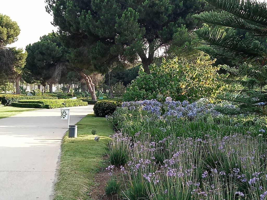 Wonderful Hassan II park, Rabat. July 2022