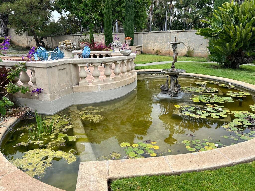 The Rose Garden