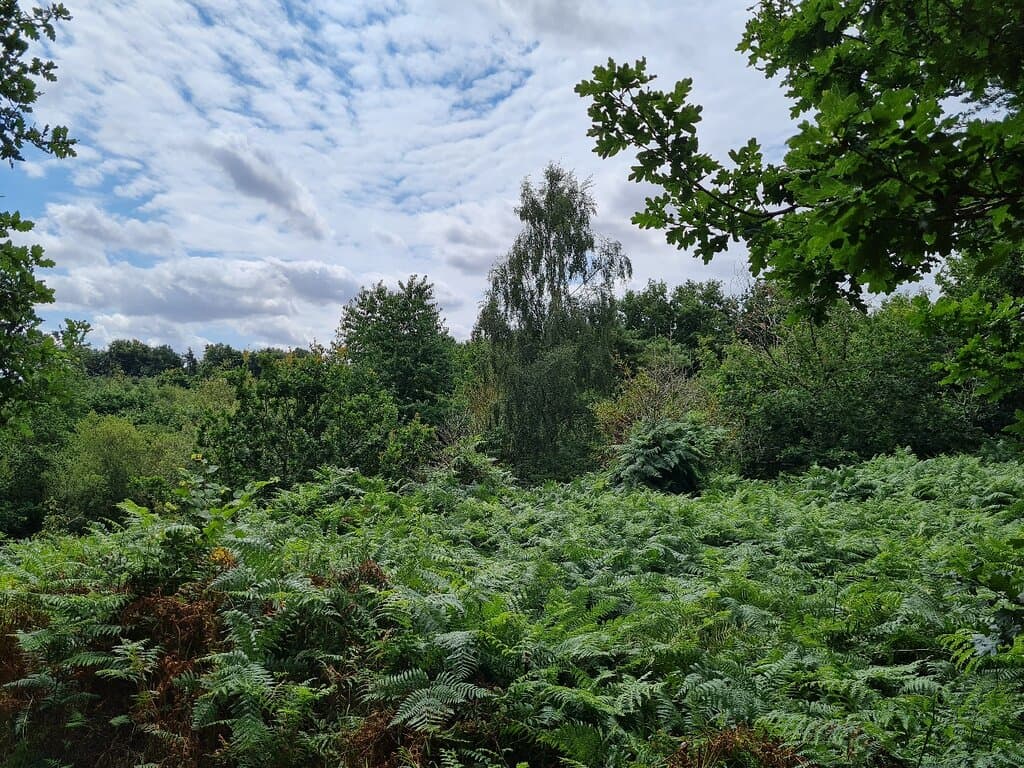 Snipe Dales Country Park and Nature Reserve