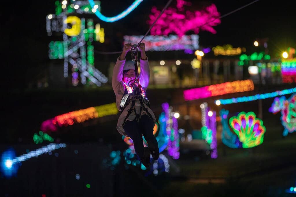 Zip Line Adventure