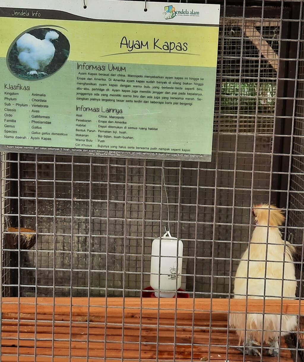 Hands-On Farming Activities