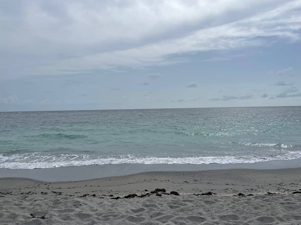 Shark Tooth Beachcombing