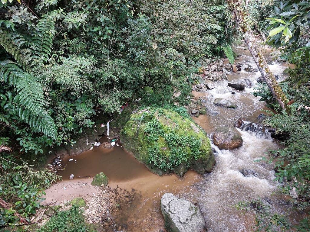Nature Trails