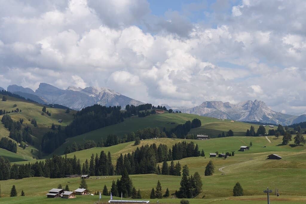 Winter Wonderland Activities