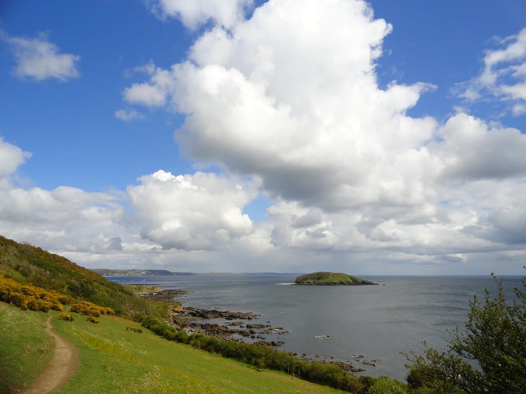 View of Looe Island Nature reserve from the south west coast path near Looe