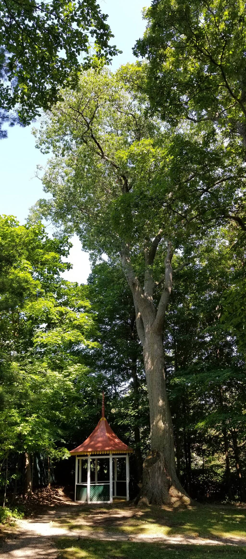 Lush Victorian Gardens