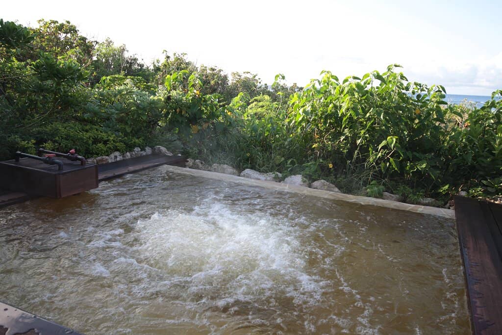 Tropical Garden Setting