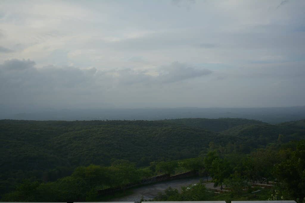 Panoramic Views