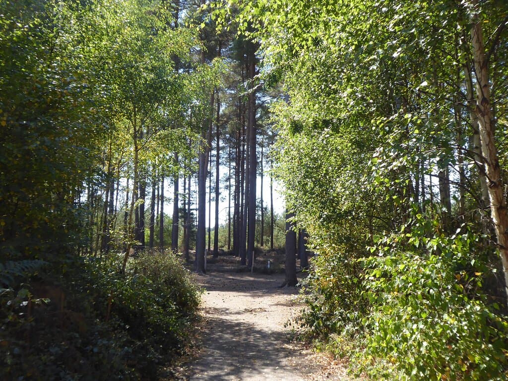 RSPB Fareham Heath