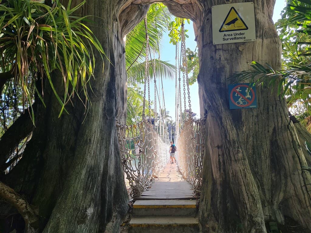 Vertical photo