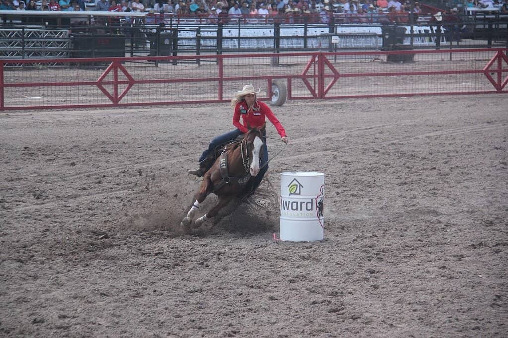 Western Vendors and Exhibits