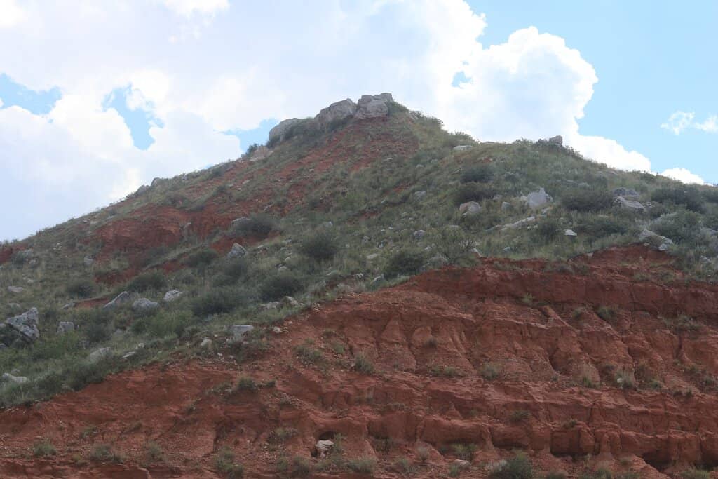 Ranger-Led Tours