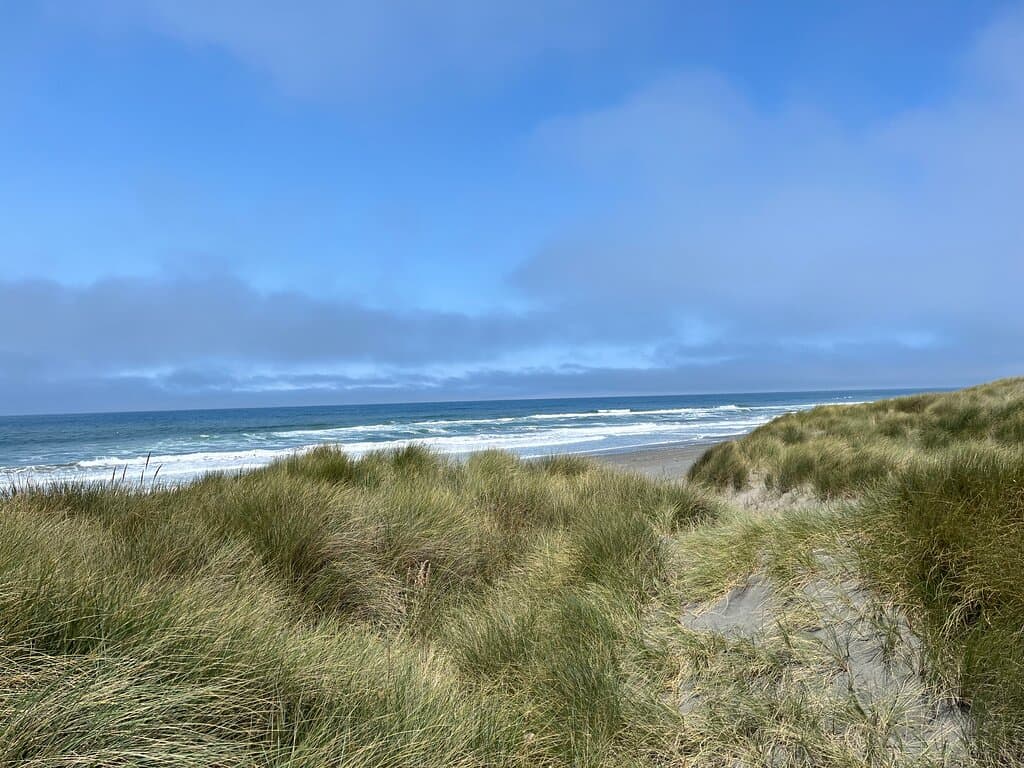 Tolowa Dunes State Park