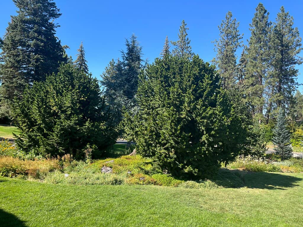 Stone Lanterns & Bridges