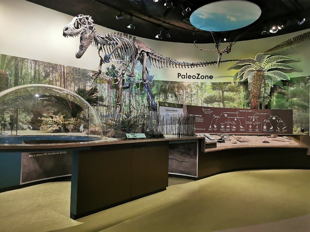 Delaware Museum of Nature and Science