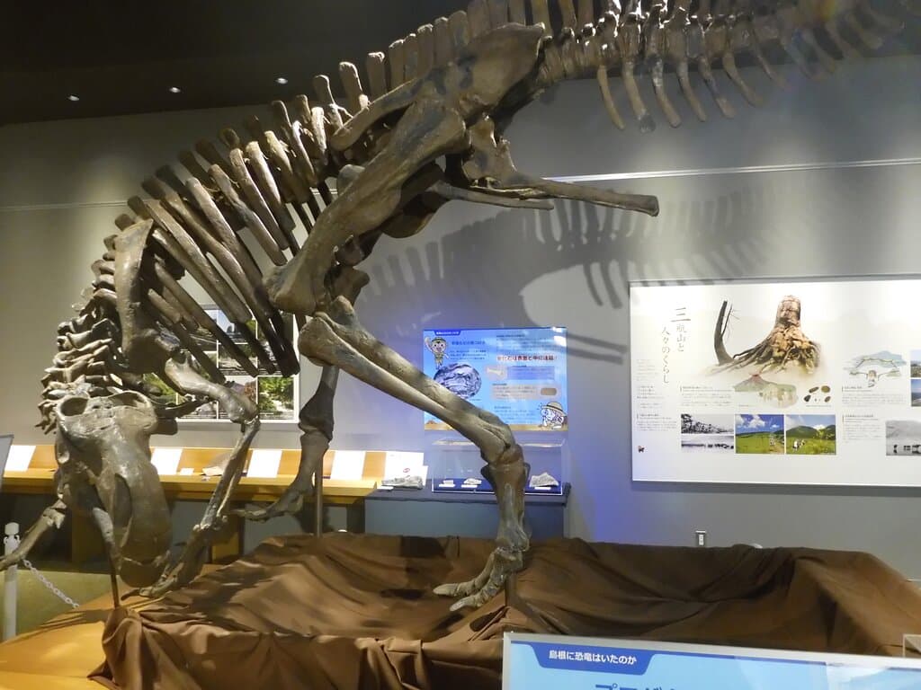 Shimane_Nature_MUseum_of_Mt_Sambe_Sahimel-Oda_Shimane01