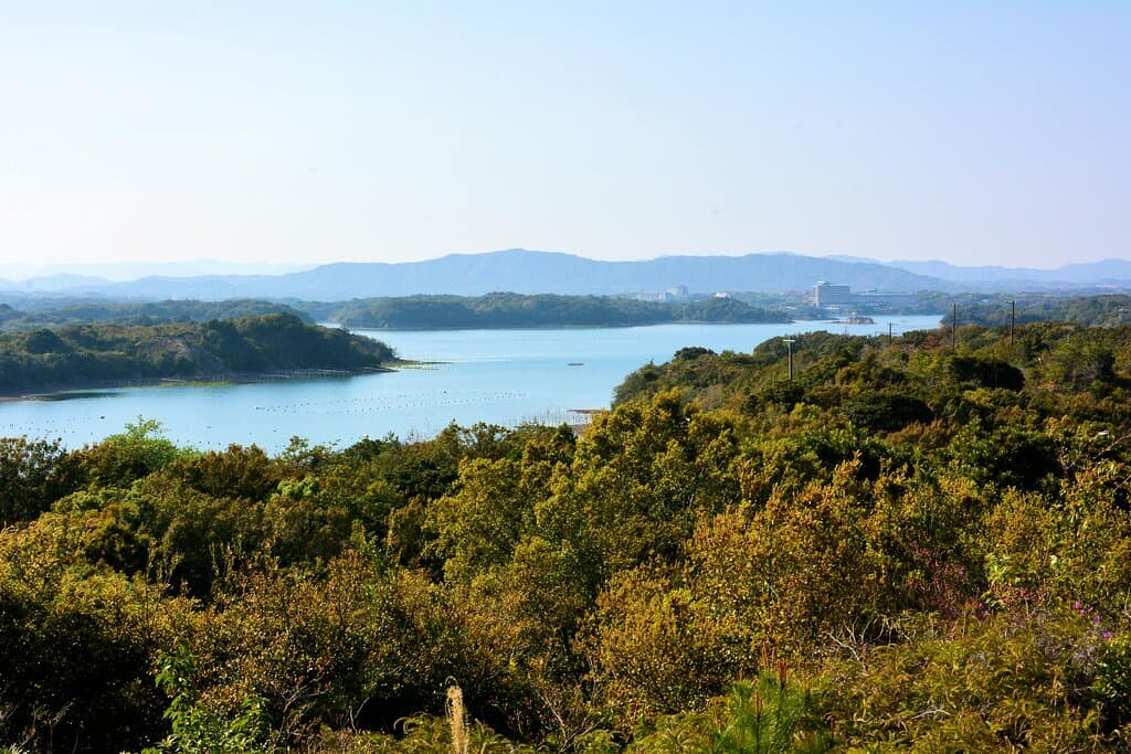 ともやま公園から