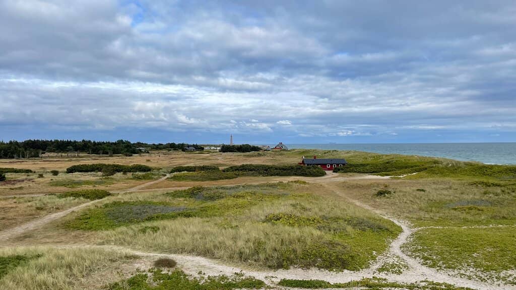 Dune and Coastal Walks