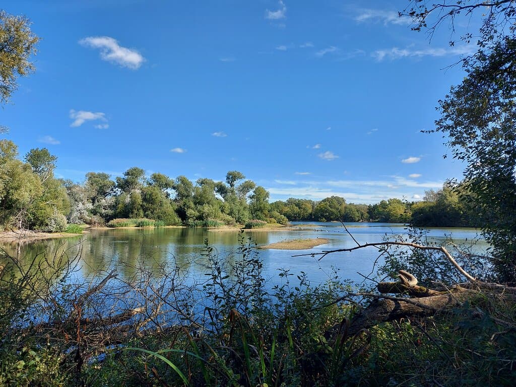 Paxton Pits Nature Reserve