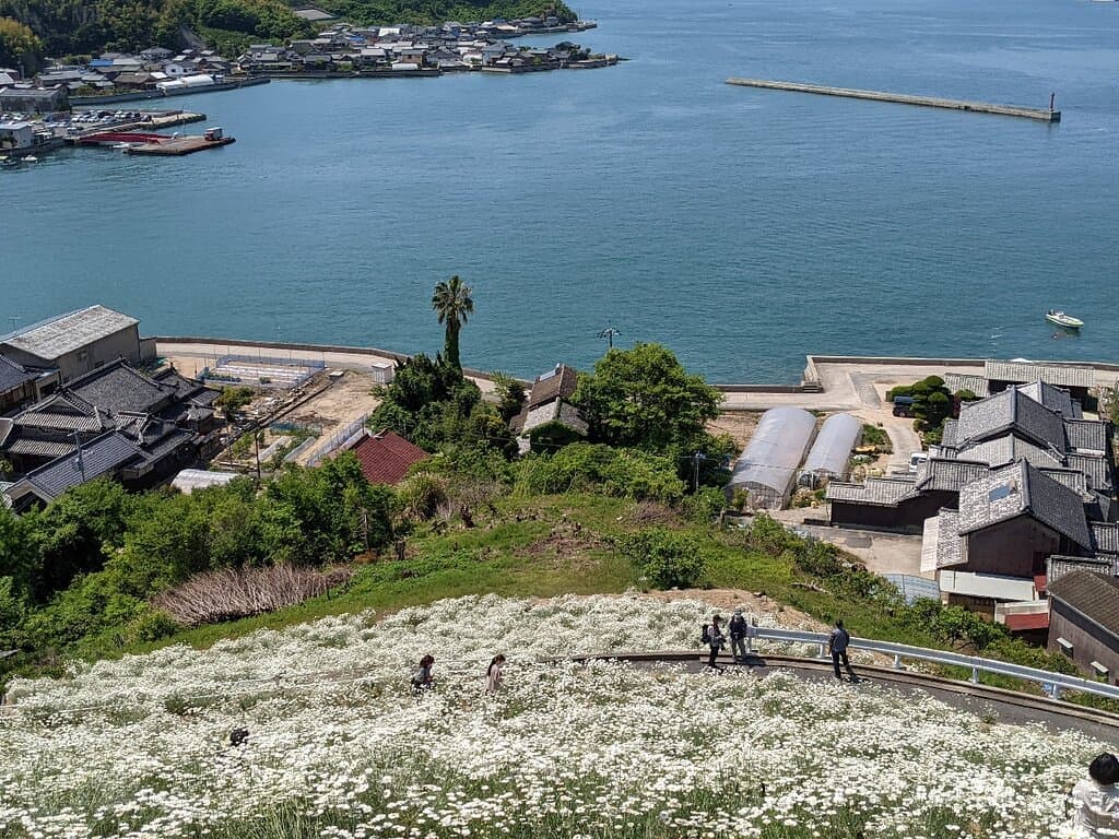 開花