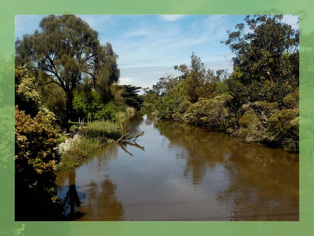 Reflection Viewing Platform