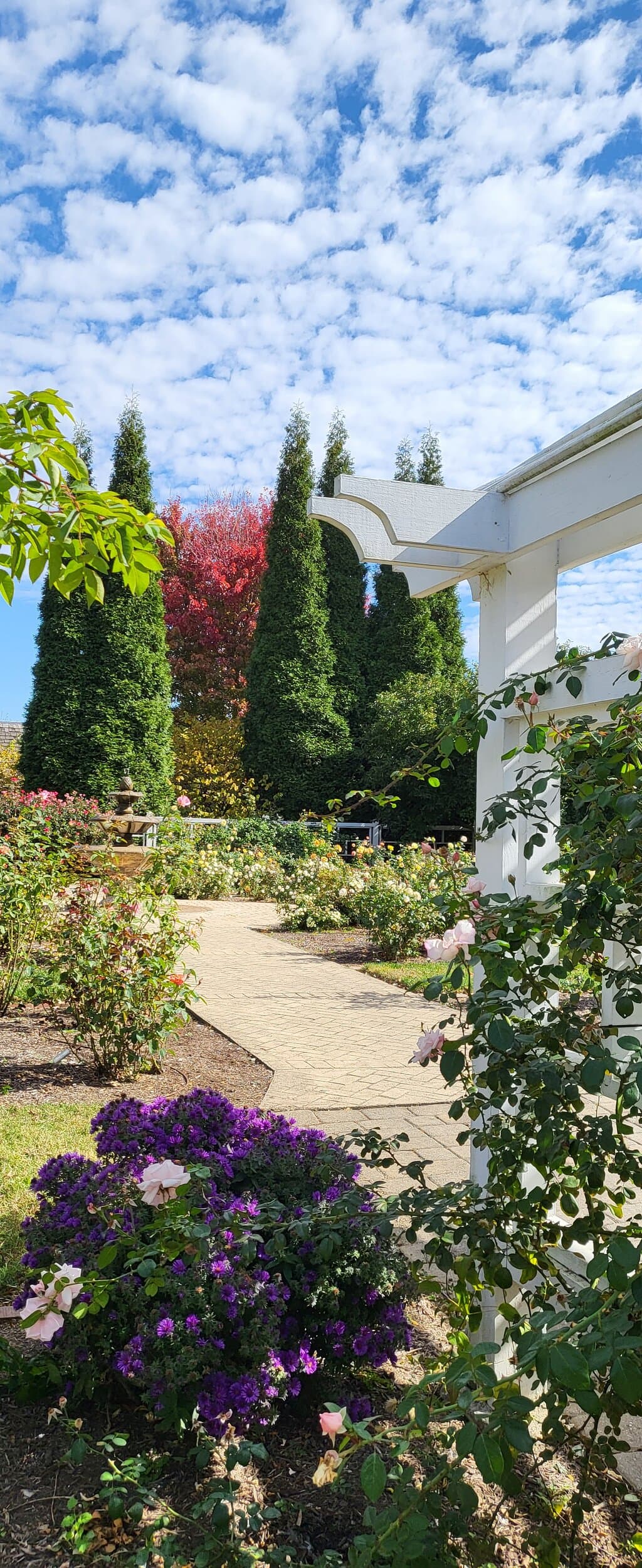 Western Kentucky Botanical Garden