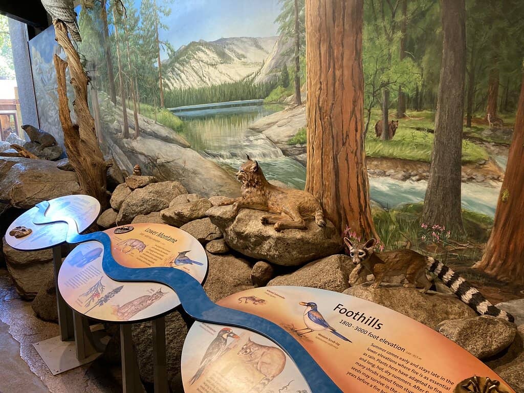 Lower Yosemite Fall Trail