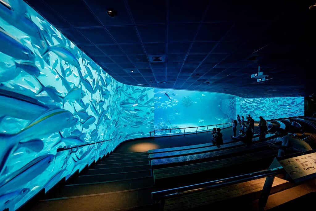 The UK's Largest Aquarium Tank