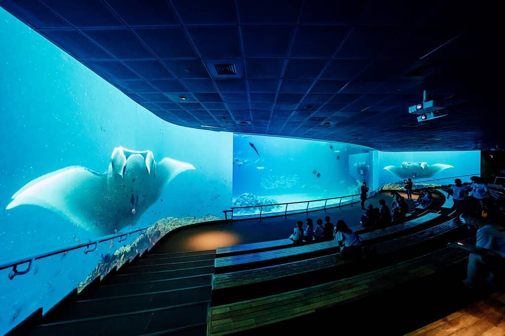Kelp Forest Dedication