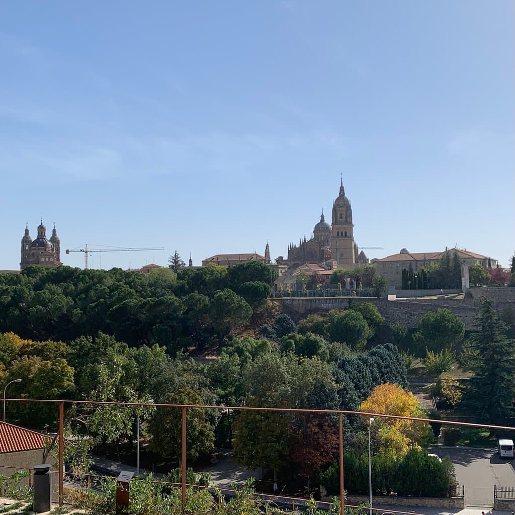 Cerro de San Vicente Archaeological Park