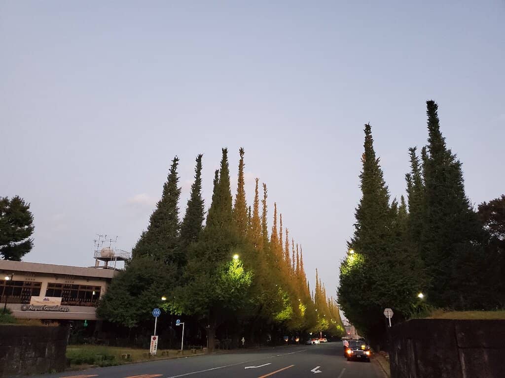 Sunday Morning Car Meets