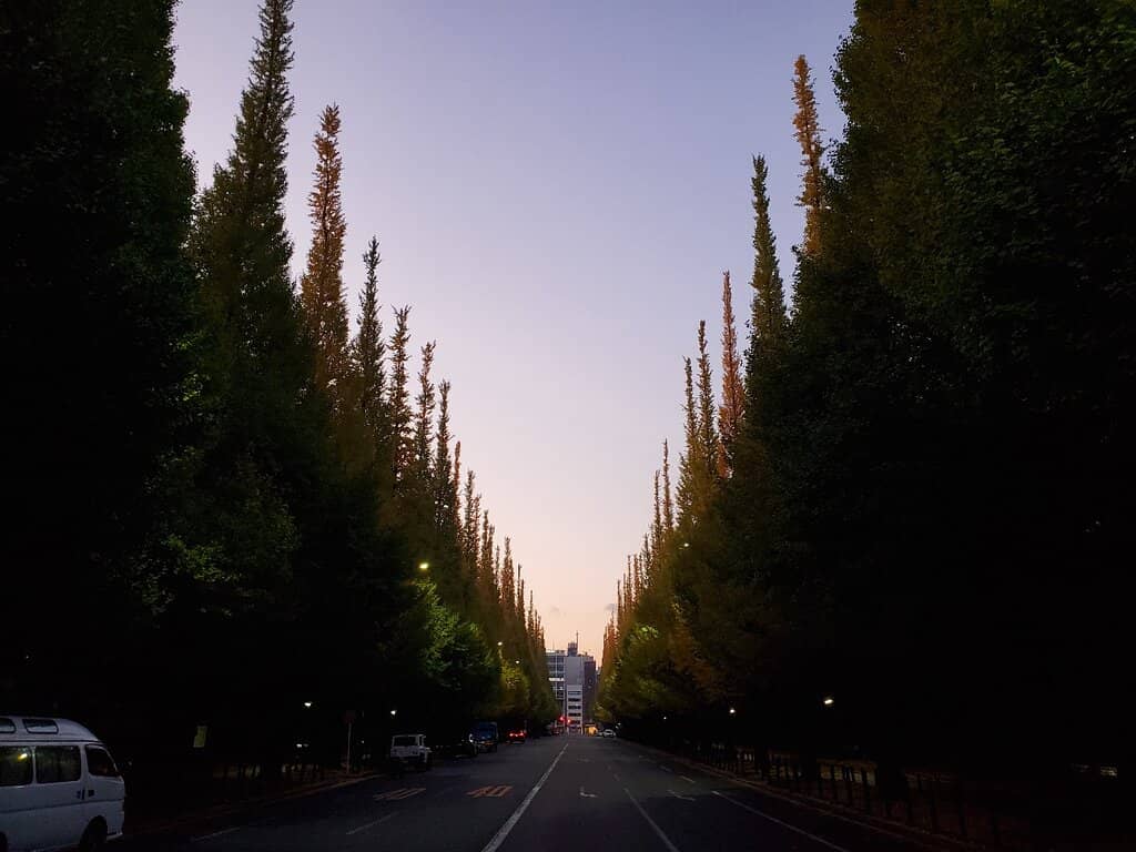 Vertical photo