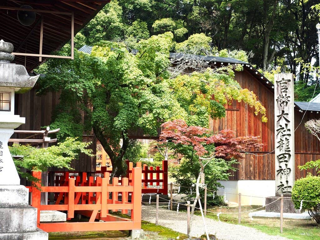 Rippling Sand Gardens