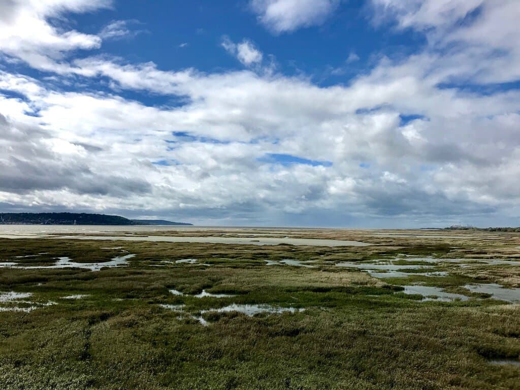 Vue sur les marais de l'embouchure de l'estuaire, depuis la promenade d'accès au Pont de Normandie. Parking sur l'Aire de la Baie de Seine