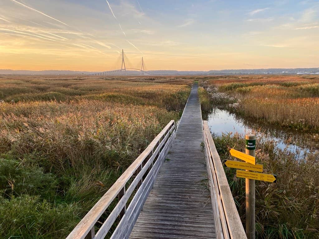 Serene Estuary Views