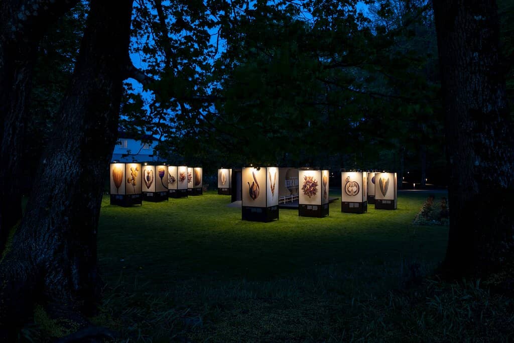 Vibrant Botanical Gardens