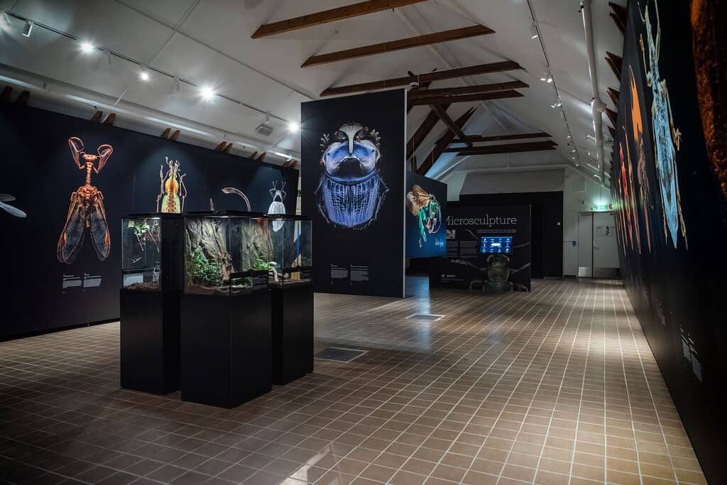 Engaging Natural History Museum