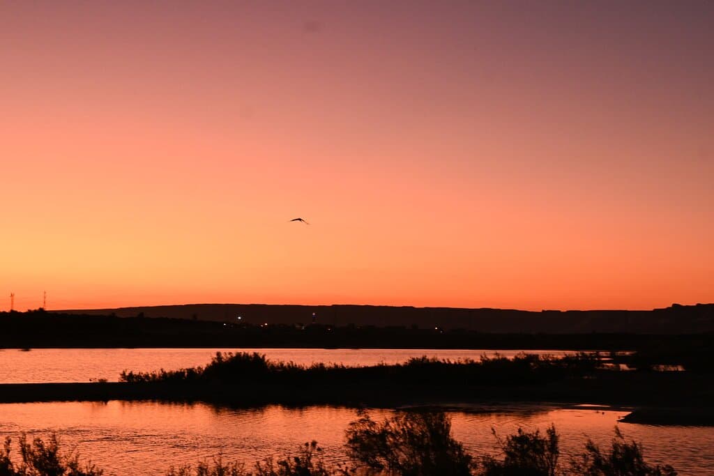 Lake Qarun Cairo
