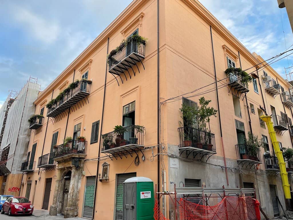 Resident Feline Companions