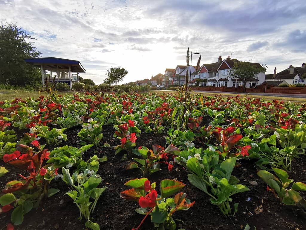Peaceful Seating Areas