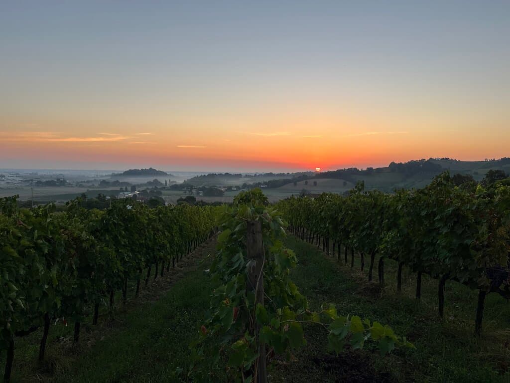 Sun rise