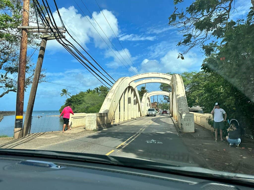 Historic Haleiwa Town